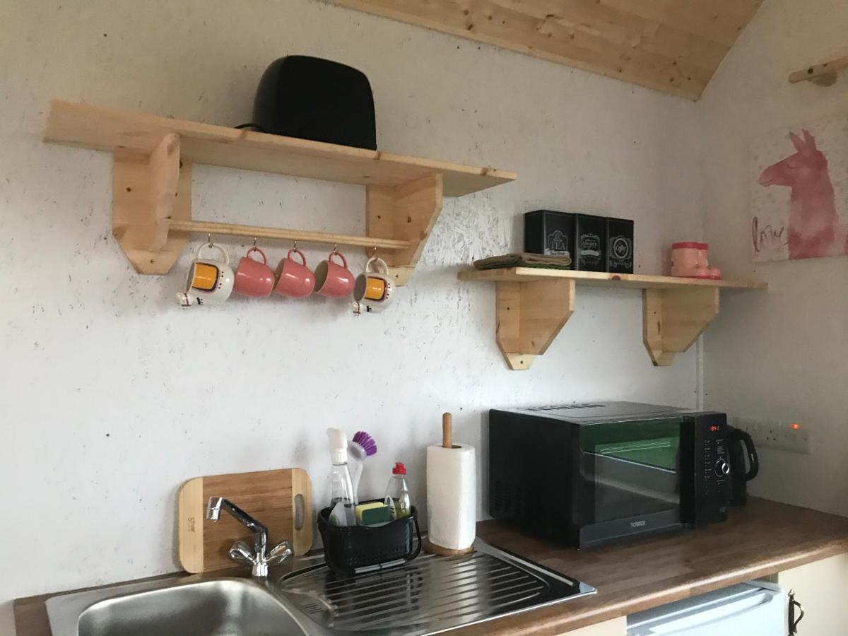 Holiday home The Beautiful Lazy Llama Shepherd Hut Farm Ballyshannon