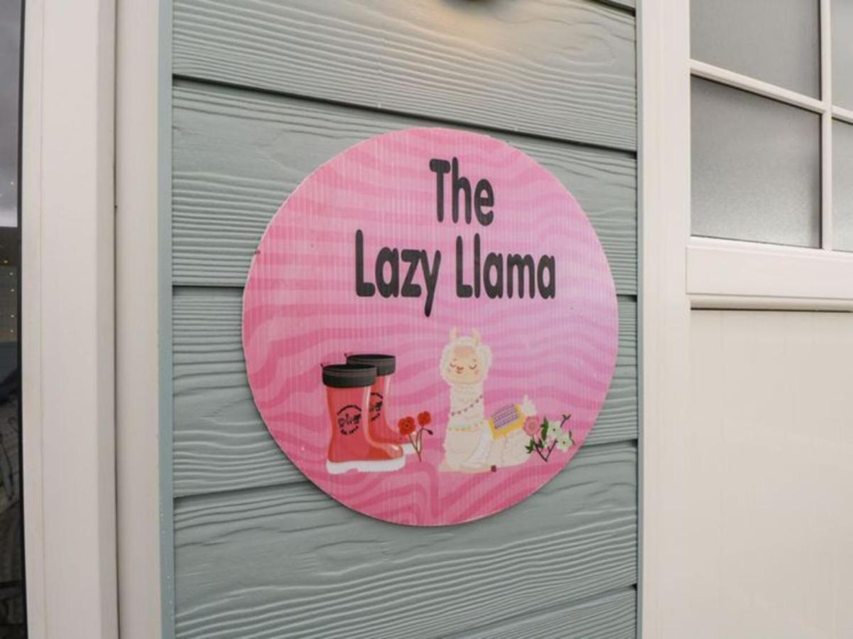 The Beautiful Lazy Llama Shepherd Hut Farm Ballyshannon