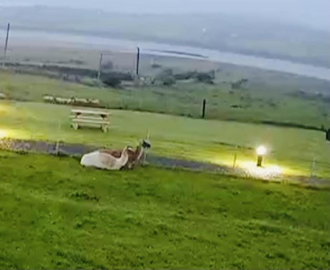 The Beautiful Lazy Llama Shepherd Hut Farm Ballyshannon