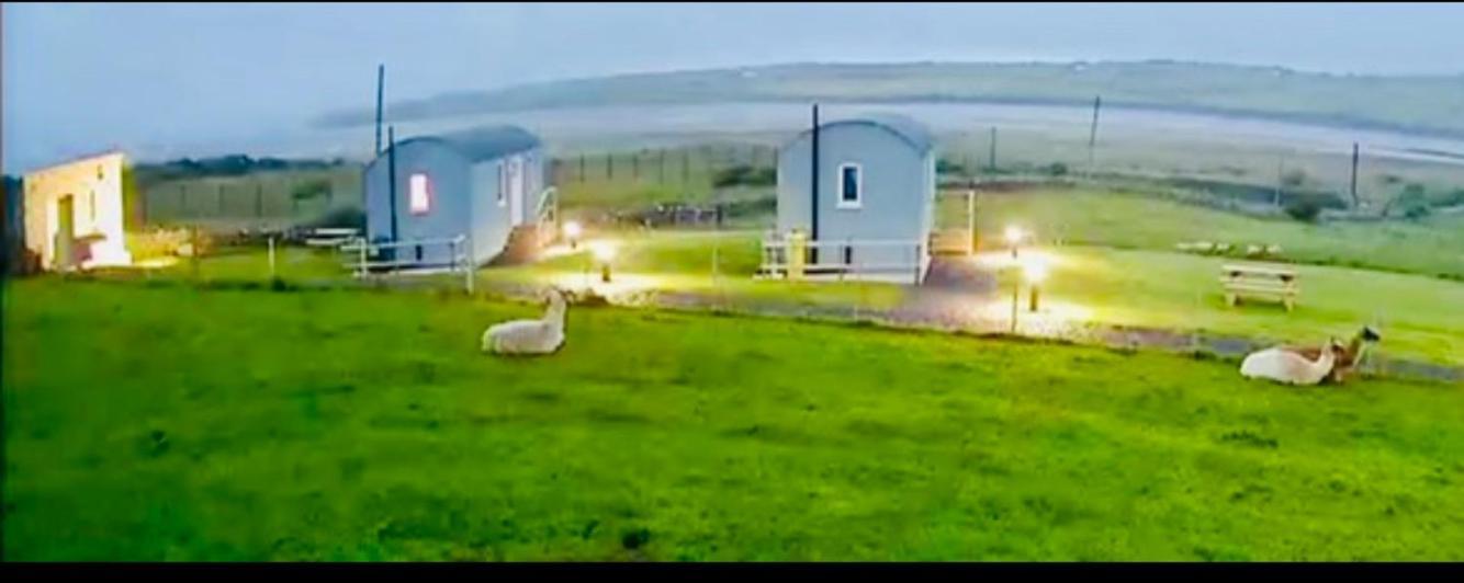 The Beautiful Lazy Llama Shepherd Hut Farm *