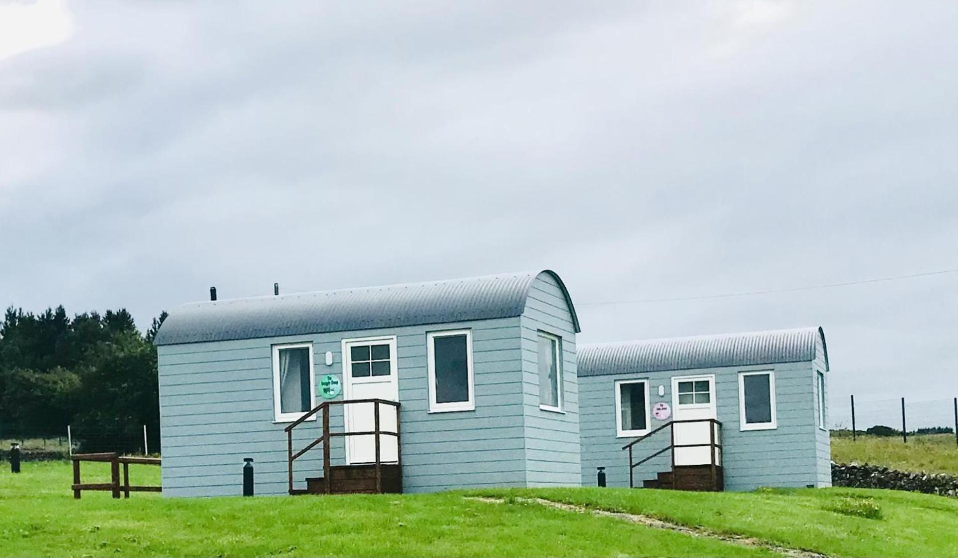 The Beautiful Lazy Llama Shepherd Hut Farm